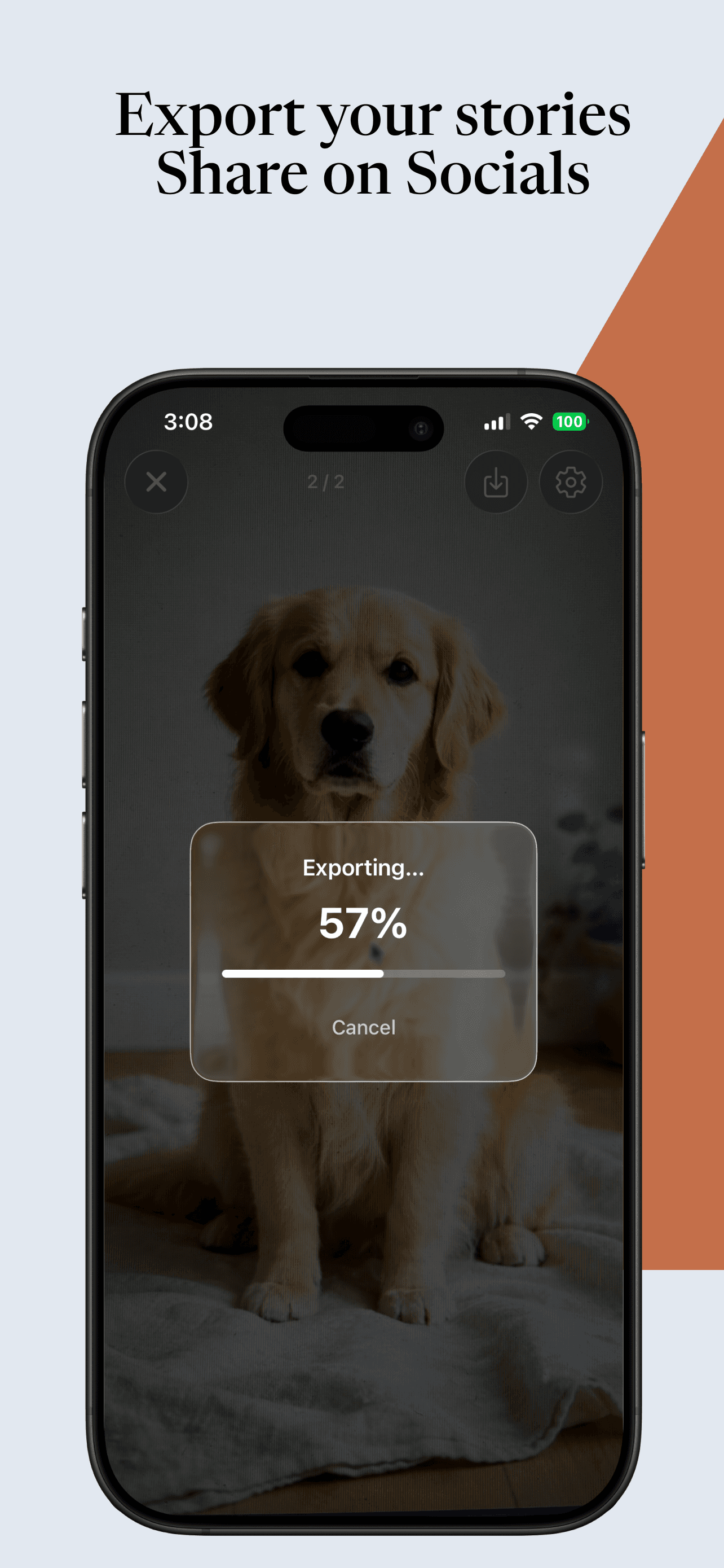 Export & Share Everywhere